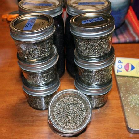 Under The Wild LED Sky 06