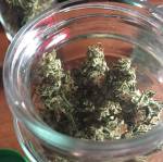 Lemon Haze auto 