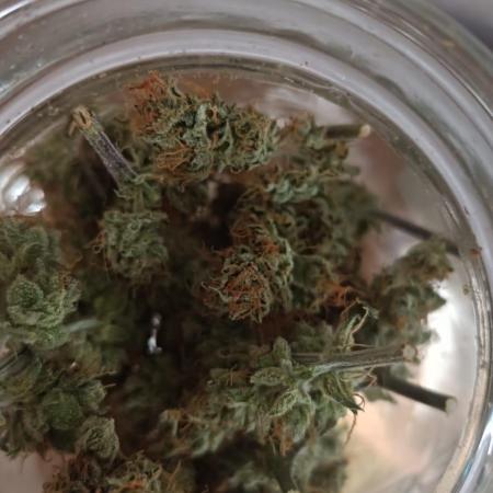 Blue Sunset Sherbert