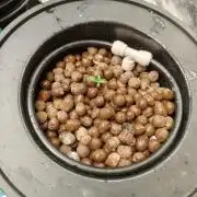Blue Lobster Auto - Zamnesia