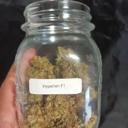 Hyperion F1