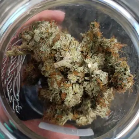 Skywalker Haze Auto