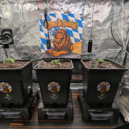 First Mineral Grow