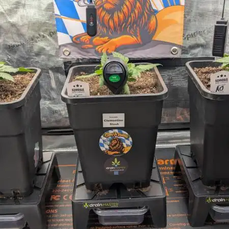 First Mineral Grow