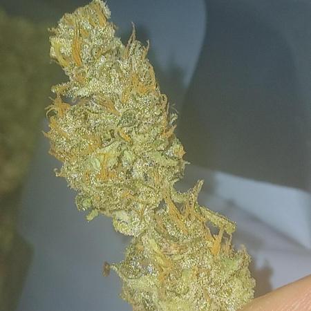 #8. Apple Strudel  Fast Buds