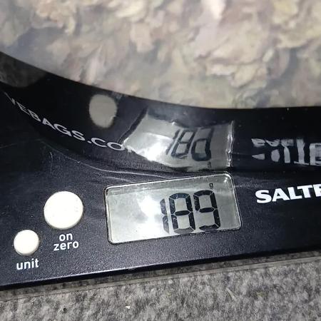 #10. Gorilla Runtz Seedsman