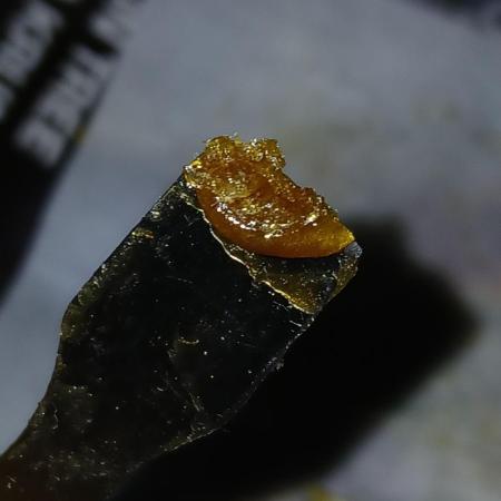 #10. Gorilla Runtz Seedsman