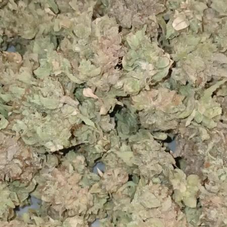Chem cookies seedsman