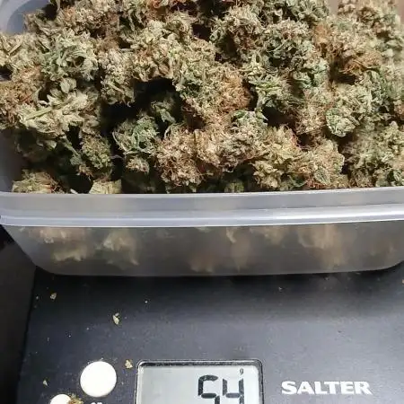 #9. Titan F1 RQS