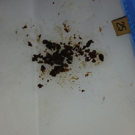 #6. Z-up Fast Buds ts600 DWC