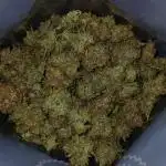 #4. Pineapple 🍍 Express F1 DWC TS1000