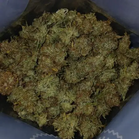 #4. Pineapple 🍍 Express F1 DWC TS1000