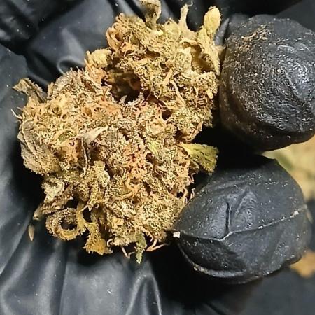 Frost Banger 2
