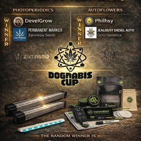 DOGNABISCUP #18 .P