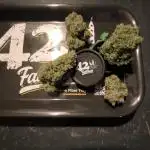 Fast Buds Frost Banger