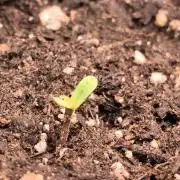 Eternity Grow Cup 2026