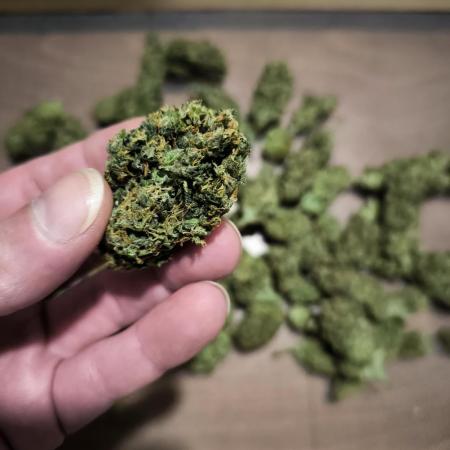 SSSC & Dutch Passion TEST Photo CONTEST with Xpert Nutrients!