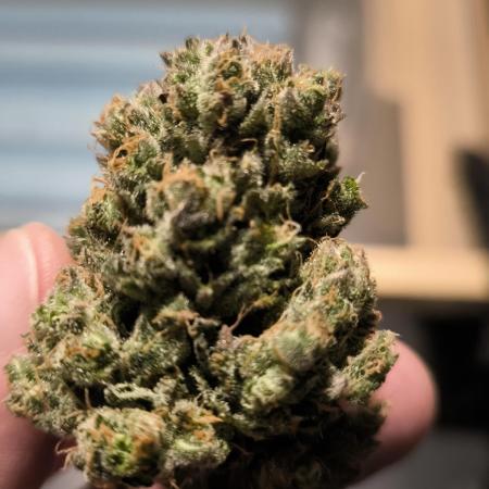 Fast Buds Frost Banger