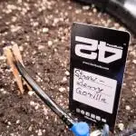 Fast Buds Strawberry Gorilla 🦍