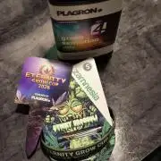 Eternity Grow Cup 2026