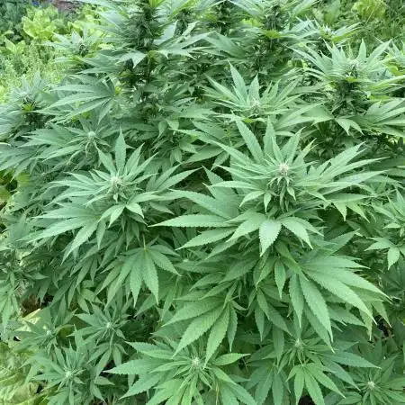 outdoor near leipzig