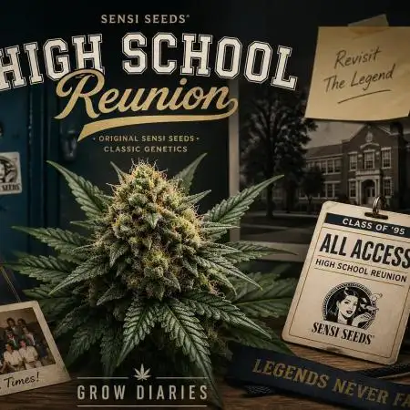 High School Reunion 2.0