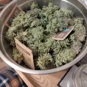 Living Soil rocks!🤘🏼