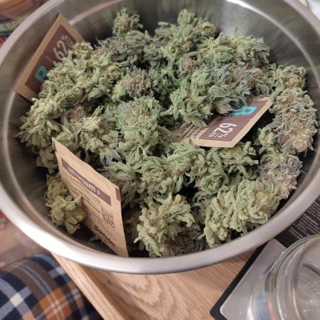 Living Soil rocks!🤘🏼