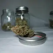Gold Glue Organic Run