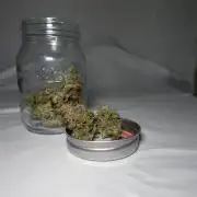 G.W.K. Organic Run