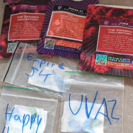 HappyUvaz: The2WizardTrees