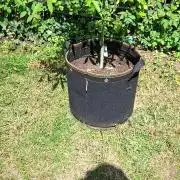 F*cked up Hippy Auto Outdoor'26