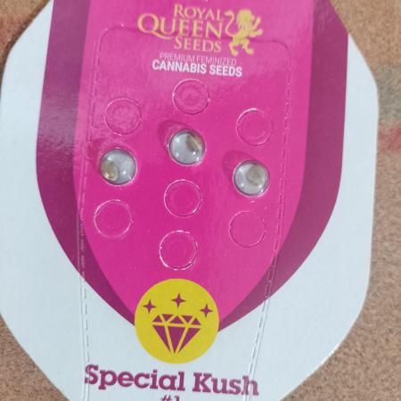 Special Kush #1