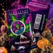 8 Delicious Seeds | Deep Mandarine