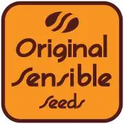 8 Sensible Seeds Bruce Banner 3 CBD