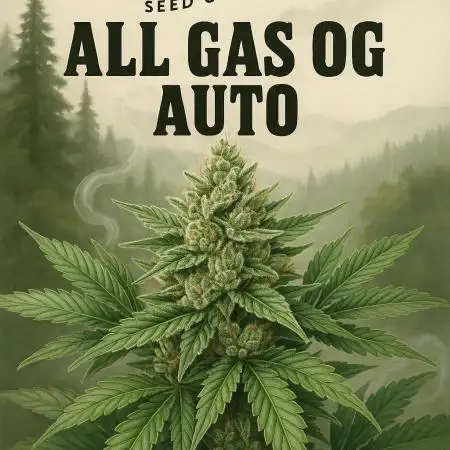 Grow 5.3 | Humboldt | ALL GAS OG AUTO