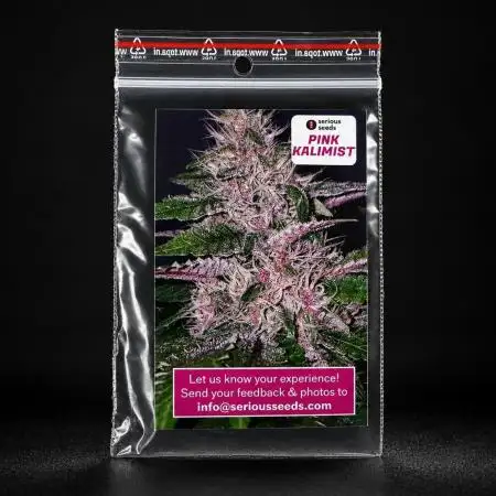 8 |  Serious Seeds | Beta Pink Kalimist