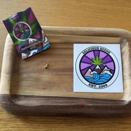 8 Delicious Seeds | Northern Lights Blue
