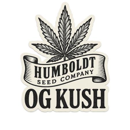 Grow 5.3 | Humboldt | OG Kush Autoflower