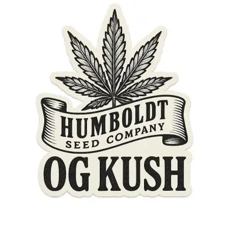Grow 5.3 | Humboldt | OG Kush Autoflower