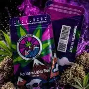 8 Delicious Seeds | Northern Lights Blue