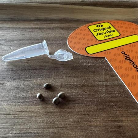 8 Sensible Seeds Bruce Banner 3 CBD