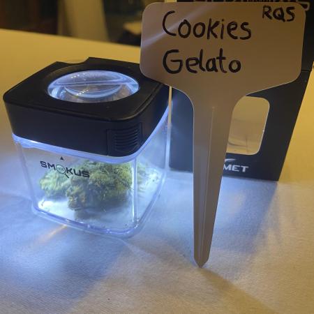 Cookies Gelato, Royal Runtz, Tropimango //RQS, Philosophers