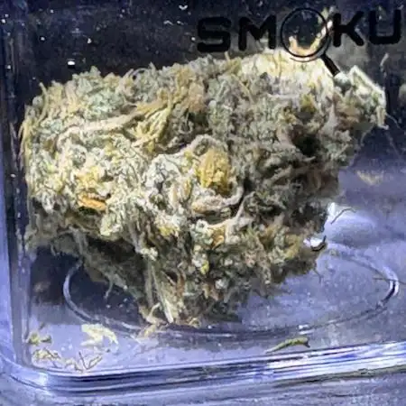 42 FB Apple Strudel