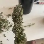 RQS Royal Creamatic Outdoor
