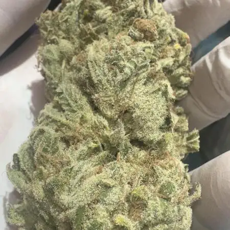 Super Boof