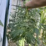 1st Outdoor