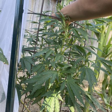 1st Outdoor