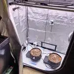 Grow #4.2: Autopot Run