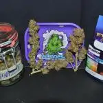 Zamnesia x Plagron Eternity Cup 2024 Runtz Auto